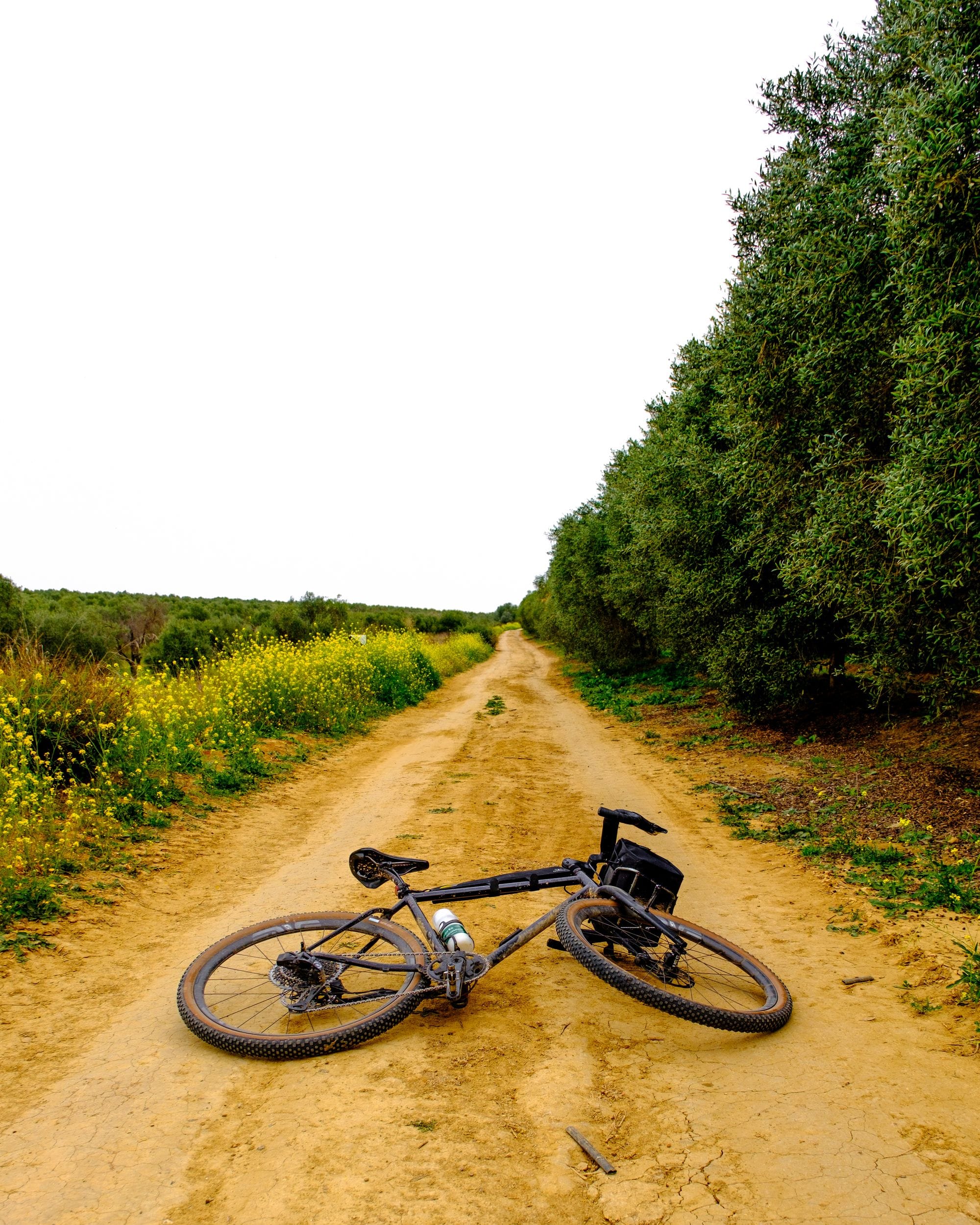 Gravel Rides Around Seville